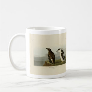 Schlanker Guillemot, Audubon Birds of America Kaffeetasse