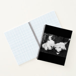 schlankes Notebook Notizbuch