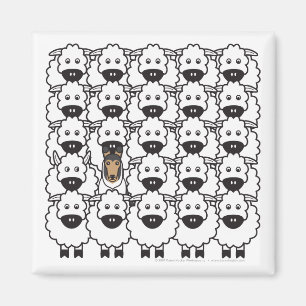 Schlaue Collie im Schafe Magnet