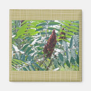 Schlaue Sumac Berries Matching Items Magnet