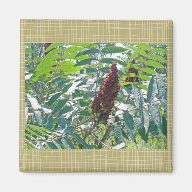 Schlaue Sumac Berries Matching Items Magnet (Vorne)