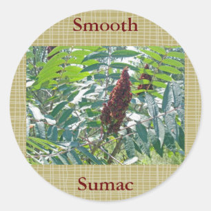 Schlaue Sumac Berries Matching Items Runder Aufkleber