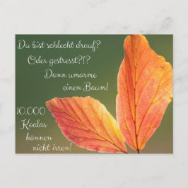 Schlecht drauf? Gestresst! Machs wie ein Koala! Postkarte