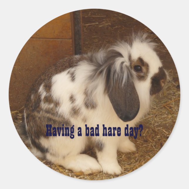 Schlechte Hare Day Stickers (Vorderseite)