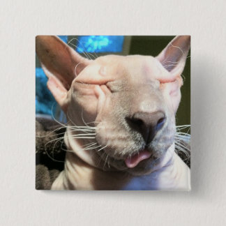 Schlechter Eis-Würfel Button