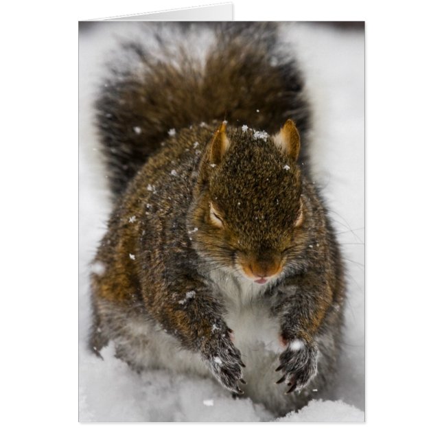 Schlechter Geschmack (Vorne)