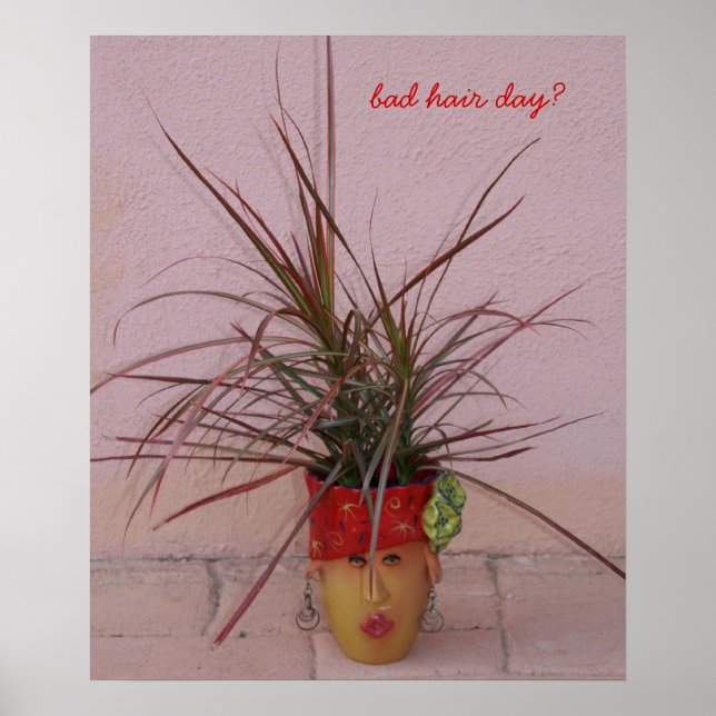 schlechter Haartag? Poster (Vorne)