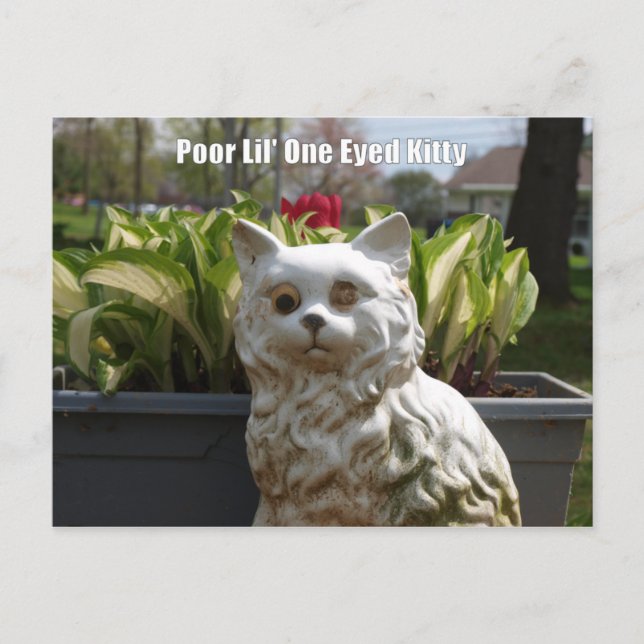 Schlechtes Lil ein mit Augen Kitty Postkarte (Vorderseite)