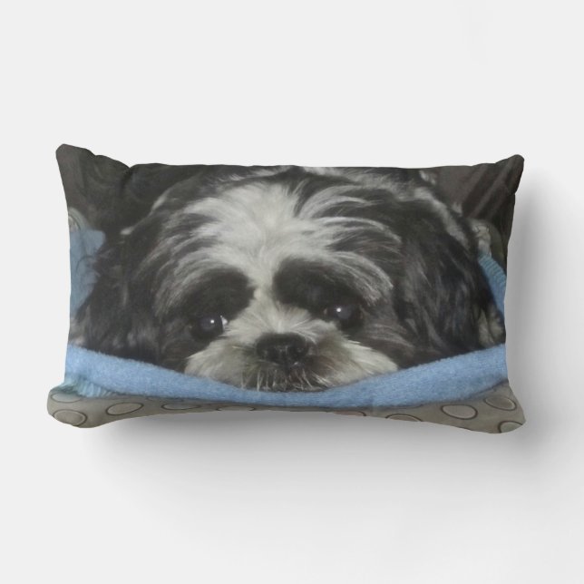 Schlechtes Shih Tzu Welpe Kissen (Vorderseite)