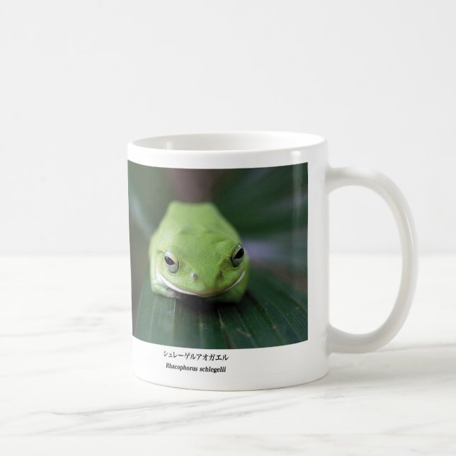 Schlegel's green tree frog kaffeetasse (Rechts)