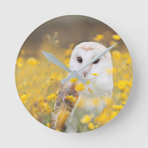Schleiereule auf dem gelben Blumen-Gebiet Runde Wanduhr