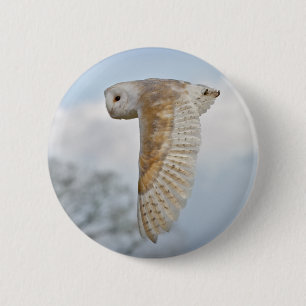 Schleiereule im Flug Abzeichen Button