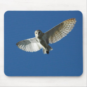 Schleiereule im Tagesflug Mousepad