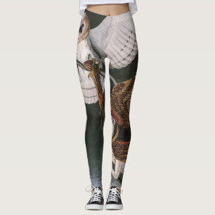 Schleiereulen, die Vögel von Amerika John James Leggings
