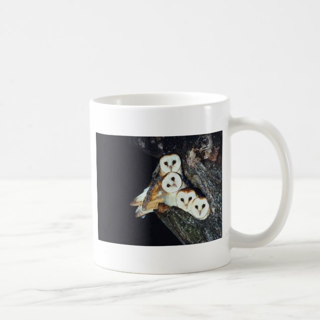 Schleiereulen in einem Baum Kaffeetasse (Rechts)