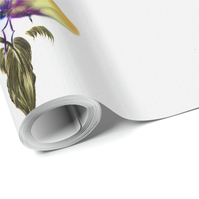 Schleifpapier Geschenkpapier (Rolleneckpunkt)