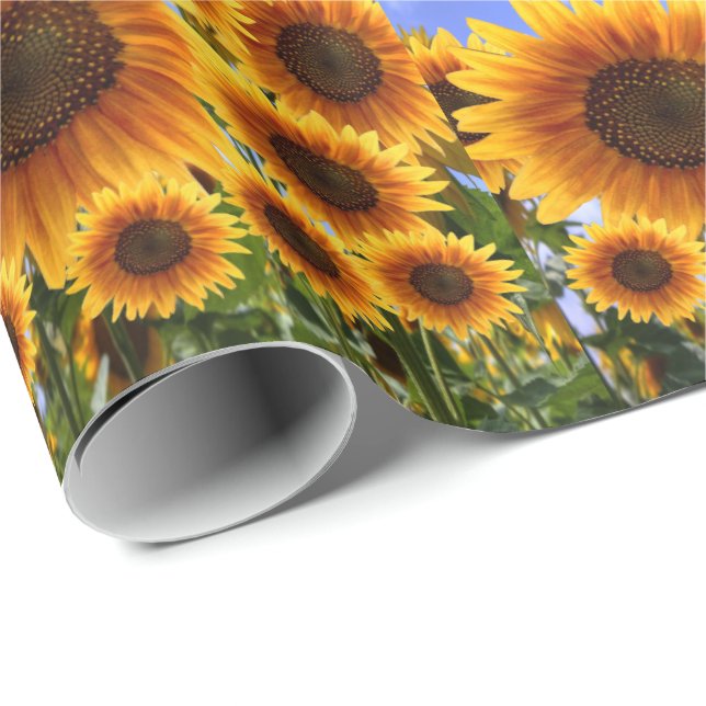 Schleifpapier Sonnenblume Geschenkpapier (Rolleneckpunkt)