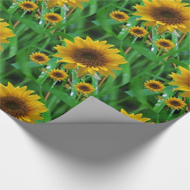 Schleifpapier Sonnenblume Geschenkpapier (Ecke)