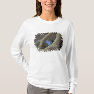 Schleimfisch Blenniidae) steckt seinen Kopf heraus T-Shirt