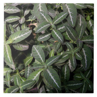 Schleppende Samt-Pflanzen-Fliese Fliese