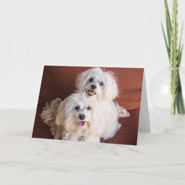 Schleppkarte Karte (Vorderseite)