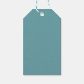 Schlicht Aquamarin Geschenkanhänger