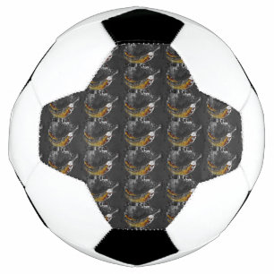 schlicht fußball