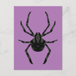 Schlichte Alte Spinne Postkarte