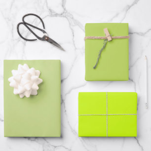 Schlichte Frühjahrs-Bud-Limes Grüne Schattierungen Geschenkpapier Set