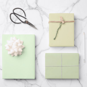 Schlichte Nyanza Pale Gin Green Shades 3 Tones Geschenkpapier Set
