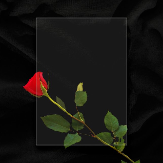 Schlichte transparente 5"x7" Blanc-Hochzeit Acryleinladungen (In Situ of blank transparent acrylic wedding invitation over a rose)