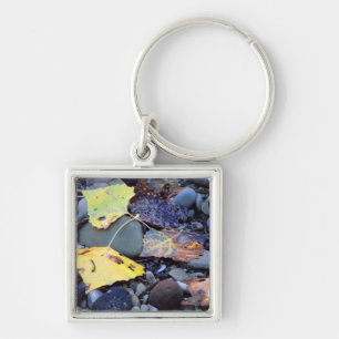 schlichte Überschwemmung von Baumwollenholz Schlüsselanhänger