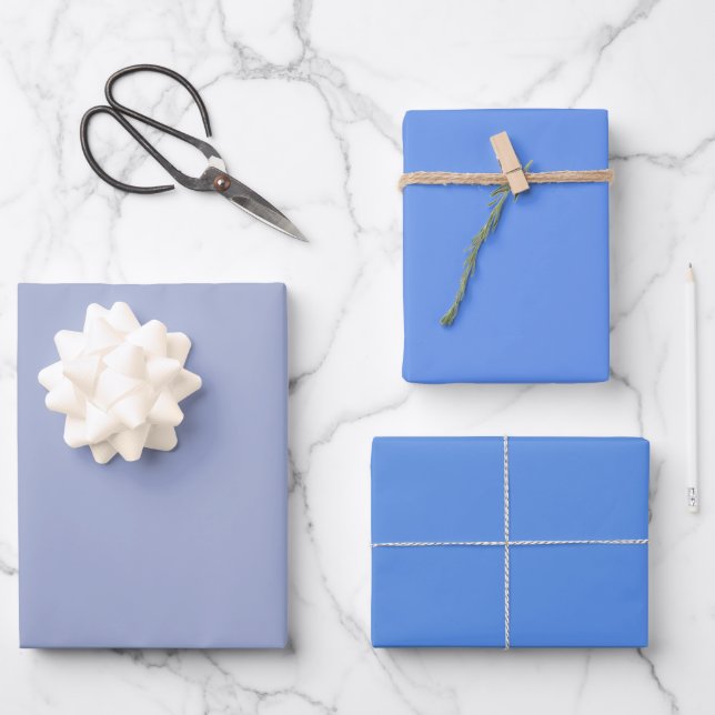 Schlichte Wildblütenblume, formale blaue Farbtöne, Geschenkpapier Set (Vorderseite)