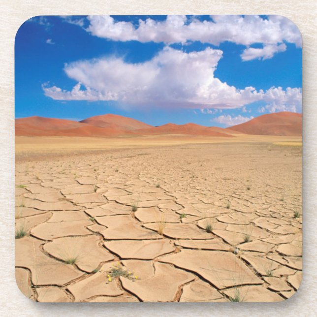 schlichte Wüste Untersetzer (Vorderseite)