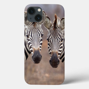 Schlichte Zebras, Krüger Nationalpark Case-Mate iPhone Hülle