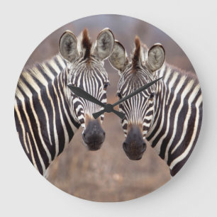 Schlichte Zebras, Kruger Nationalpark Große Wanduhr
