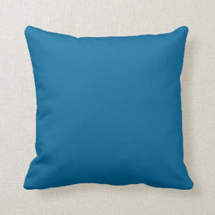 Schlichtes Normallackblaukissen Kissen