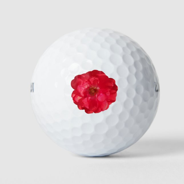 Schließen einer korallenfarbenen Rose Golfball (Vorderseite)