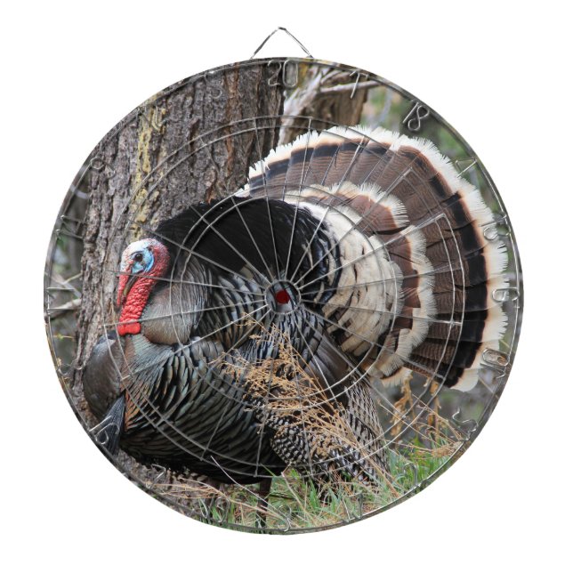 SCHLIESSEN SIE DIE TÜRKEI-STARTPLATTE DARTSCHEIBE (vorne)