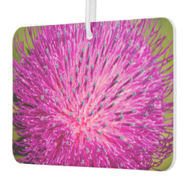 Schließung der Milchdistel Autolufterfrischer