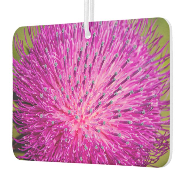 Schließung der Milchdistel Autolufterfrischer (Links)