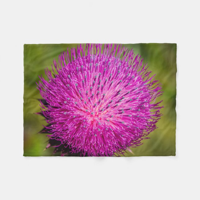 Schließung der Milchdistel Fleecedecke (Vorderseite (Horizontal))
