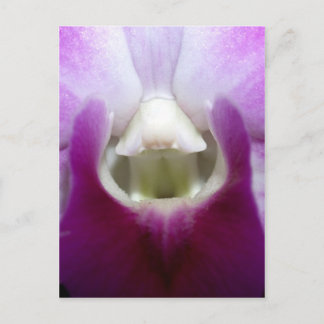 Schließung der Orchid-Blume Postkarte