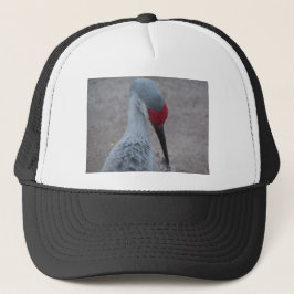 Schließung des Gesichts eines Sand Hill Crane Truckerkappe