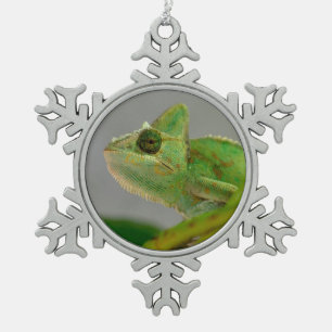 Schließung des verschleierten Chamäleons unter den Schneeflocken Zinn-Ornament