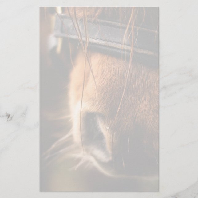 Schließung einer Niedlichen braunen Pferdedose Briefpapier (Vorderseite)