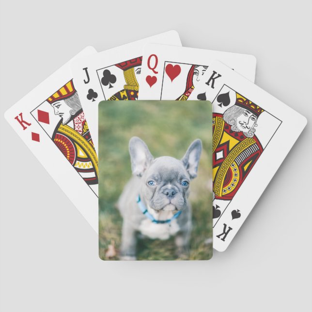 Schließung eines französischen Bulldog Spielkarten (Rückseite)