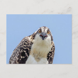 Schließung eines Jugendorgys Postkarte