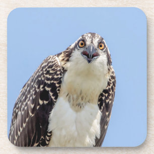 Schließung eines Jugendorgys Untersetzer