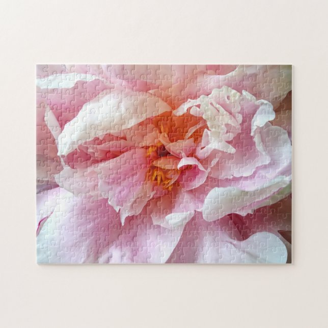 Schließung von blassrosa Peonies (Horizontal)